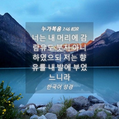 Picture 04 - 누가복음 7:46 KOR - 너는 내 머리에 감람유도 붓지 - Bible Verse Picture