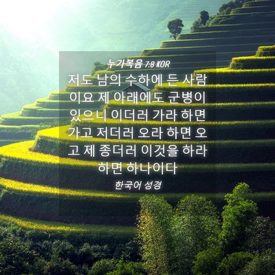 Picture 04 - 누가복음 7:8 KOR - 저도 남의 수하에 든 사람이요 제 - Bible Verse Picture