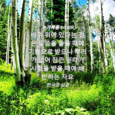 Picture 04 - 누가복음 8:13 KOR - 바위 위에 있다는 것은 말씀을 들을 - Bible Verse Picture