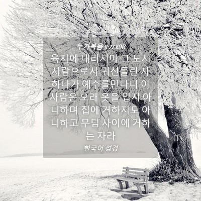 Picture 04 - 누가복음 8:27 KOR - 육지에 내리시매 그 도시 사람으로서 - Bible Verse Picture