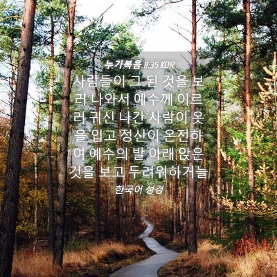 Picture 04 - 누가복음 8:35 KOR - 사람들이 그 된 것을 보러 나와서 - Bible Verse Picture