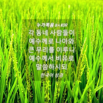 Picture 04 - 누가복음 8:4 KOR - 각 동네 사람들이 예수께로 나아와 - Bible Verse Picture