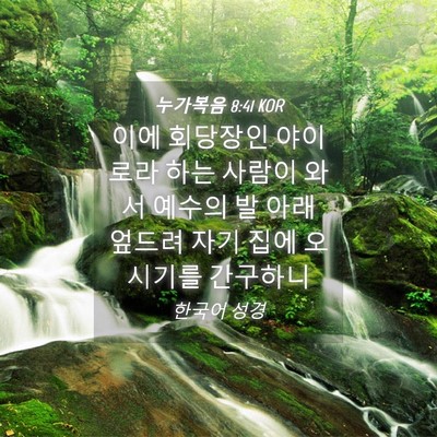 Picture 04 - 누가복음 8:41 KOR - 이에 회당장인 야이로라 하는 사람이 - Bible Verse Picture