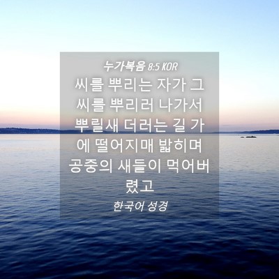Picture 04 - 누가복음 8:5 KOR - 씨를 뿌리는 자가 그 씨를 뿌리러 - Bible Verse Picture
