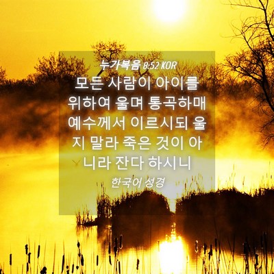 Picture 04 - 누가복음 8:52 KOR - 모든 사람이 아이를 위하여 울며 - Bible Verse Picture