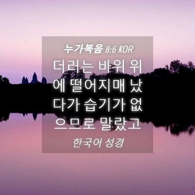 Picture 04 - 누가복음 8:6 KOR - 더러는 바위 위에 떨어지매 났다가 - Bible Verse Picture
