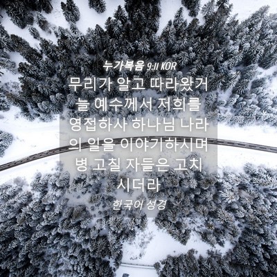 Picture 04 - 누가복음 9:11 KOR - 무리가 알고 따라왔거늘 예수께서 - Bible Verse Picture