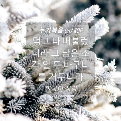 Picture 04 - 누가복음 9:17 KOR - 먹고 다 배불렀더라 그 남은 조각 열 - Bible Verse Picture
