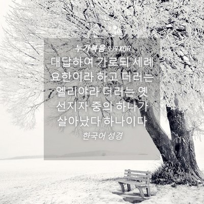 Picture 04 - 누가복음 9:19 KOR - 대답하여 가로되 세례 요한이라 하고 - Bible Verse Picture