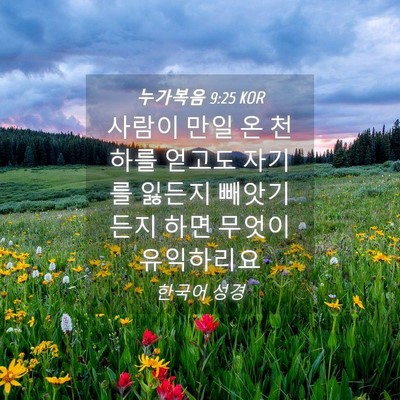 Picture 04 - 누가복음 9:25 KOR - 사람이 만일 온 천하를 얻고도 - Bible Verse Picture