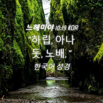 Picture 04 - 느헤미야 10:19 KOR - 