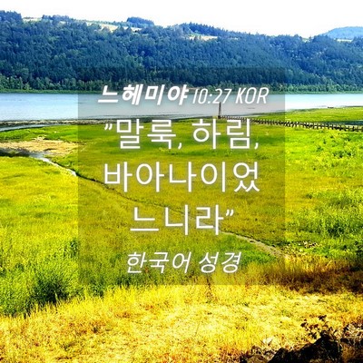 Picture 04 - 느헤미야 10:27 KOR - 