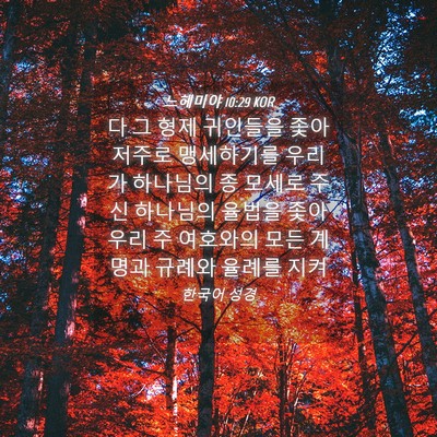 Picture 04 - 느헤미야 10:29 KOR - 다 그 형제 귀인들을 좇아 저주로 - Bible Verse Picture