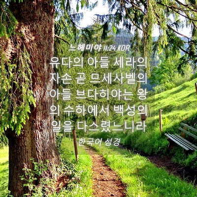 Picture 04 - 느헤미야 11:24 KOR - 유다의 아들 세라의 자손 곧 - Bible Verse Picture