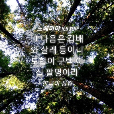 Picture 04 - 느헤미야 11:8 KOR - 그 다음은 갑배와 살래 등이니 - Bible Verse Picture