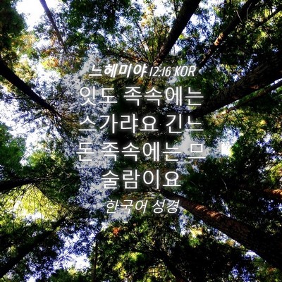 Picture 04 - 느헤미야 12:16 KOR - 잇도 족속에는 스가랴요 긴느돈 - Bible Verse Picture
