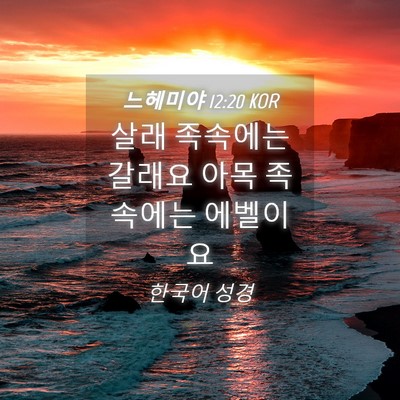 Picture 04 - 느헤미야 12:20 KOR - 살래 족속에는 갈래요 아목 족속에는 - Bible Verse Picture