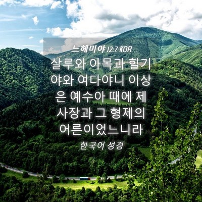 Picture 04 - 느헤미야 12:7 KOR - 살루와 아목과 힐기야와 여다야니 - Bible Verse Picture