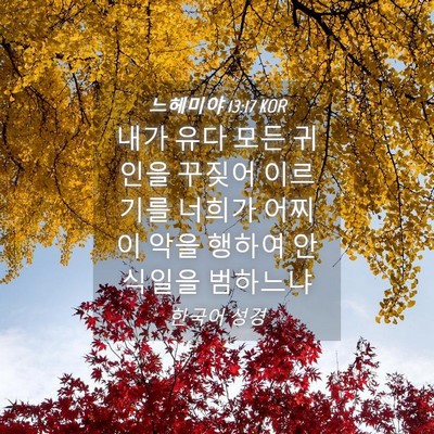 Picture 04 - 느헤미야 13:17 KOR - 내가 유다 모든 귀인을 꾸짖어 - Bible Verse Picture