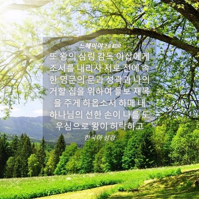 Picture 04 - 느헤미야 2:8 KOR - 또 왕의 삼림 감독 아삽에게 조서를 - Bible Verse Picture