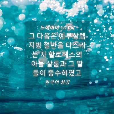 Picture 04 - 느헤미야 3:12 KOR - 그 다음은 예루살렘 지방 절반을 - Bible Verse Picture