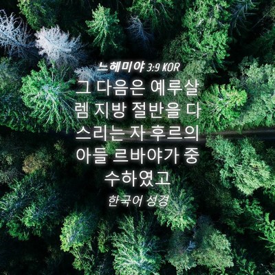 Picture 04 - 느헤미야 3:9 KOR - 그 다음은 예루살렘 지방 절반을 - Bible Verse Picture