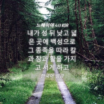 Picture 04 - 느헤미야 4:13 KOR - 내가 성 뒤 낮고 넓은 곳에 백성으로 - Bible Verse Picture