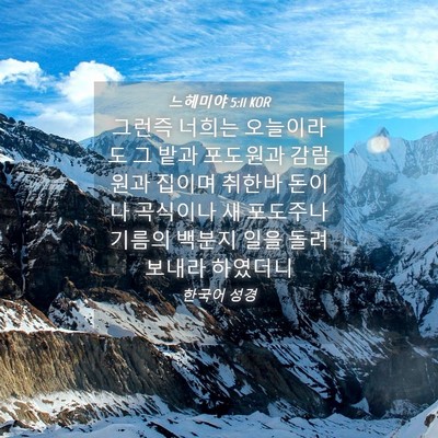 Picture 04 - 느헤미야 5:11 KOR - 그런즉 너희는 오늘이라도 그 밭과 - Bible Verse Picture