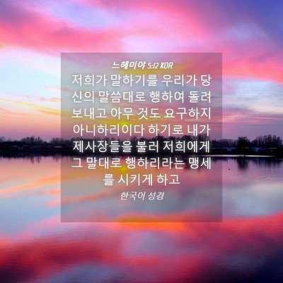 Picture 04 - 느헤미야 5:12 KOR - 저희가 말하기를 우리가 당신의 - Bible Verse Picture