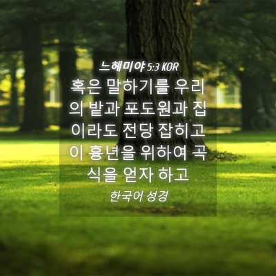 Picture 04 - 느헤미야 5:3 KOR - 혹은 말하기를 우리의 밭과 포도원과 - Bible Verse Picture