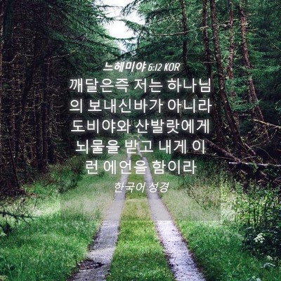 Picture 04 - 느헤미야 6:12 KOR - 깨달은즉 저는 하나님의 보내신바가 - Bible Verse Picture