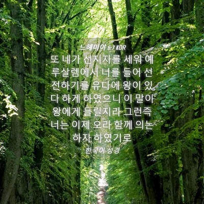 Picture 04 - 느헤미야 6:7 KOR - 또 네가 선지자를 세워 예루살렘에서 - Bible Verse Picture