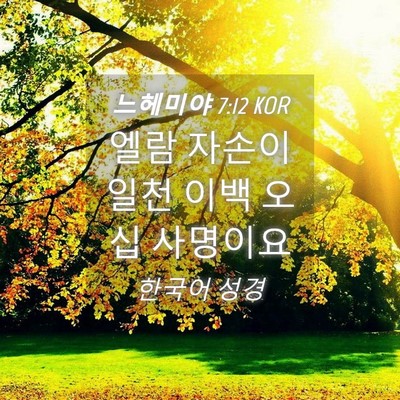 Picture 04 - 느헤미야 7:12 KOR - 엘람 자손이 일천 이백 오십 - Bible Verse Picture