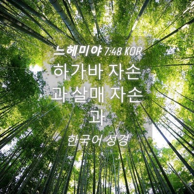 Picture 04 - 느헤미야 7:48 KOR - 하가바 자손과 살매 - Bible Verse Picture