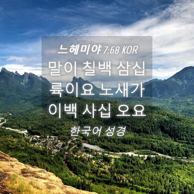 Picture 04 - 느헤미야 7:68 KOR - 말이 칠백 삼십 륙이요 노새가 이백 - Bible Verse Picture