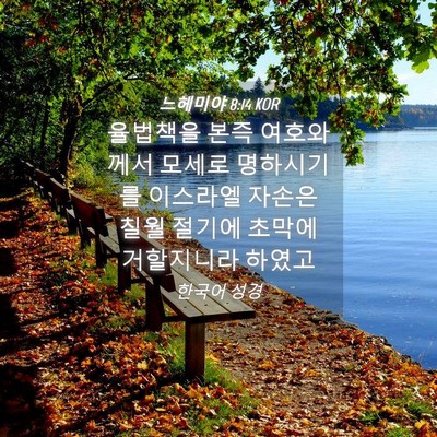 Picture 04 - 느헤미야 8:14 KOR - 율법책을 본즉 여호와께서 모세로 - Bible Verse Picture