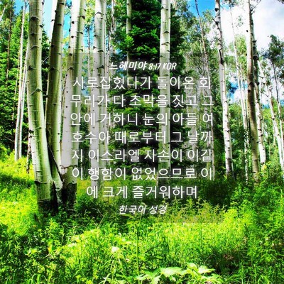 Picture 04 - 느헤미야 8:17 KOR - 사로잡혔다가 돌아온 회 무리가 다 - Bible Verse Picture