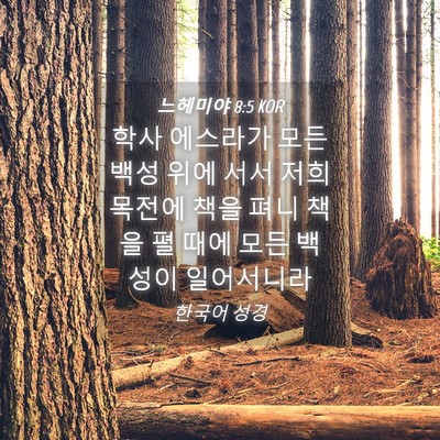 Picture 04 - 느헤미야 8:5 KOR - 학사 에스라가 모든 백성 위에 서서 - Bible Verse Picture