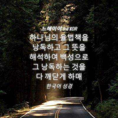 Picture 04 - 느헤미야 8:8 KOR - 하나님의 율법책을 낭독하고 그 뜻을 - Bible Verse Picture