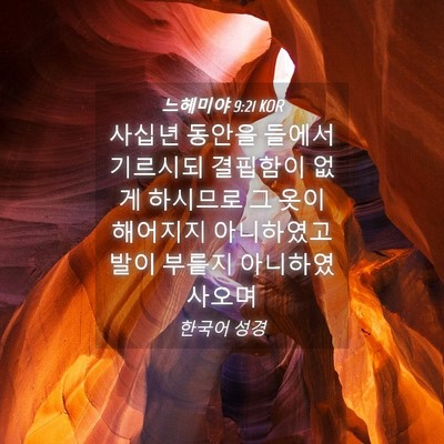 Picture 04 - 느헤미야 9:21 KOR - 사십년 동안을 들에서 기르시되 - Bible Verse Picture