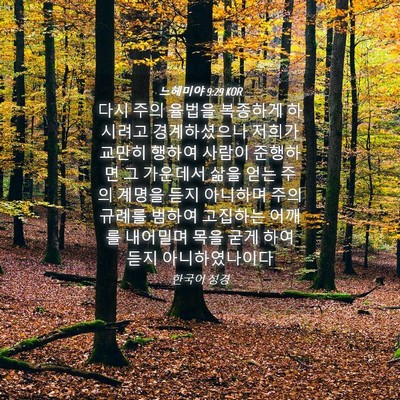 Picture 04 - 느헤미야 9:29 KOR - 다시 주의 율법을 복종하게 하시려고 - Bible Verse Picture