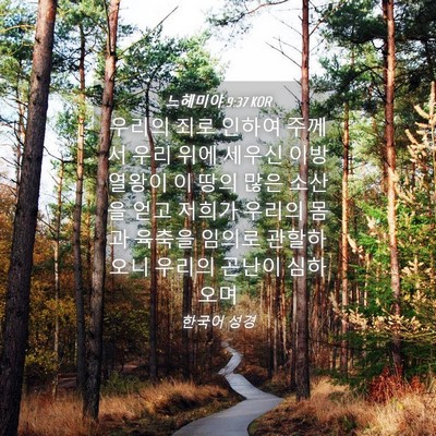 Picture 04 - 느헤미야 9:37 KOR - 우리의 죄로 인하여 주께서 우리 - Bible Verse Picture