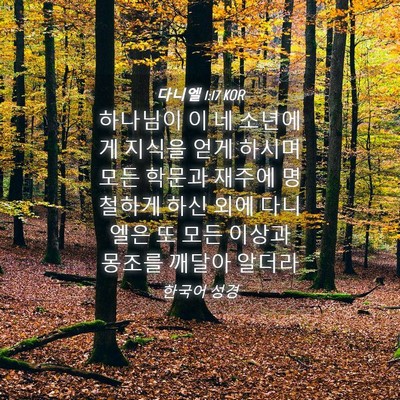Picture 04 - 다니엘 1:17 KOR - 하나님이 이 네 소년에게 지식을 - Bible Verse Picture