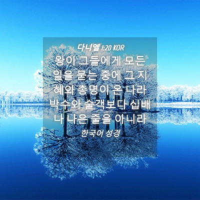 Picture 04 - 다니엘 1:20 KOR - 왕이 그들에게 모든 일을 묻는 중에 - Bible Verse Picture