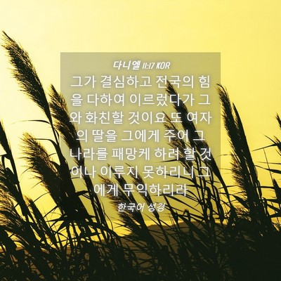 Picture 04 - 다니엘 11:17 KOR - 그가 결심하고 전국의 힘을 다하여 - Bible Verse Picture