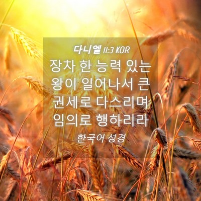 Picture 04 - 다니엘 11:3 KOR - 장차 한 능력 있는 왕이 일어나서 큰 - Bible Verse Picture