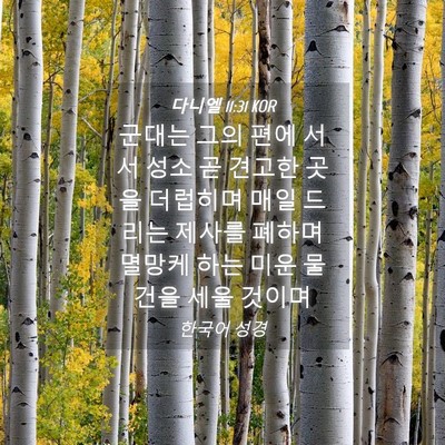 Picture 04 - 다니엘 11:31 KOR - 군대는 그의 편에 서서 성소 곧 - Bible Verse Picture