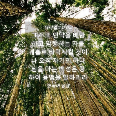 Picture 04 - 다니엘 11:32 KOR - 그가 또 언약을 배반하고 악행하는 - Bible Verse Picture