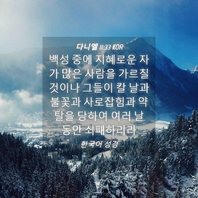 Picture 04 - 다니엘 11:33 KOR - 백성 중에 지혜로운 자가 많은 - Bible Verse Picture