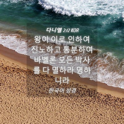 Picture 04 - 다니엘 2:12 KOR - 왕이 이로 인하여 진노하고 통분하여 - Bible Verse Picture